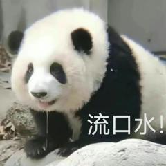 单机修仙rpg手游排行榜 2024免费的rpg单机修仙手游大全