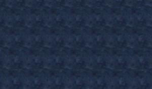 欧洲杯巡礼-塞尔维亚：巴尔干白鹰渴望再度腾飞