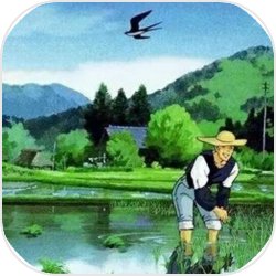 幸运大转盘 《花儿与少年》今日震撼公测